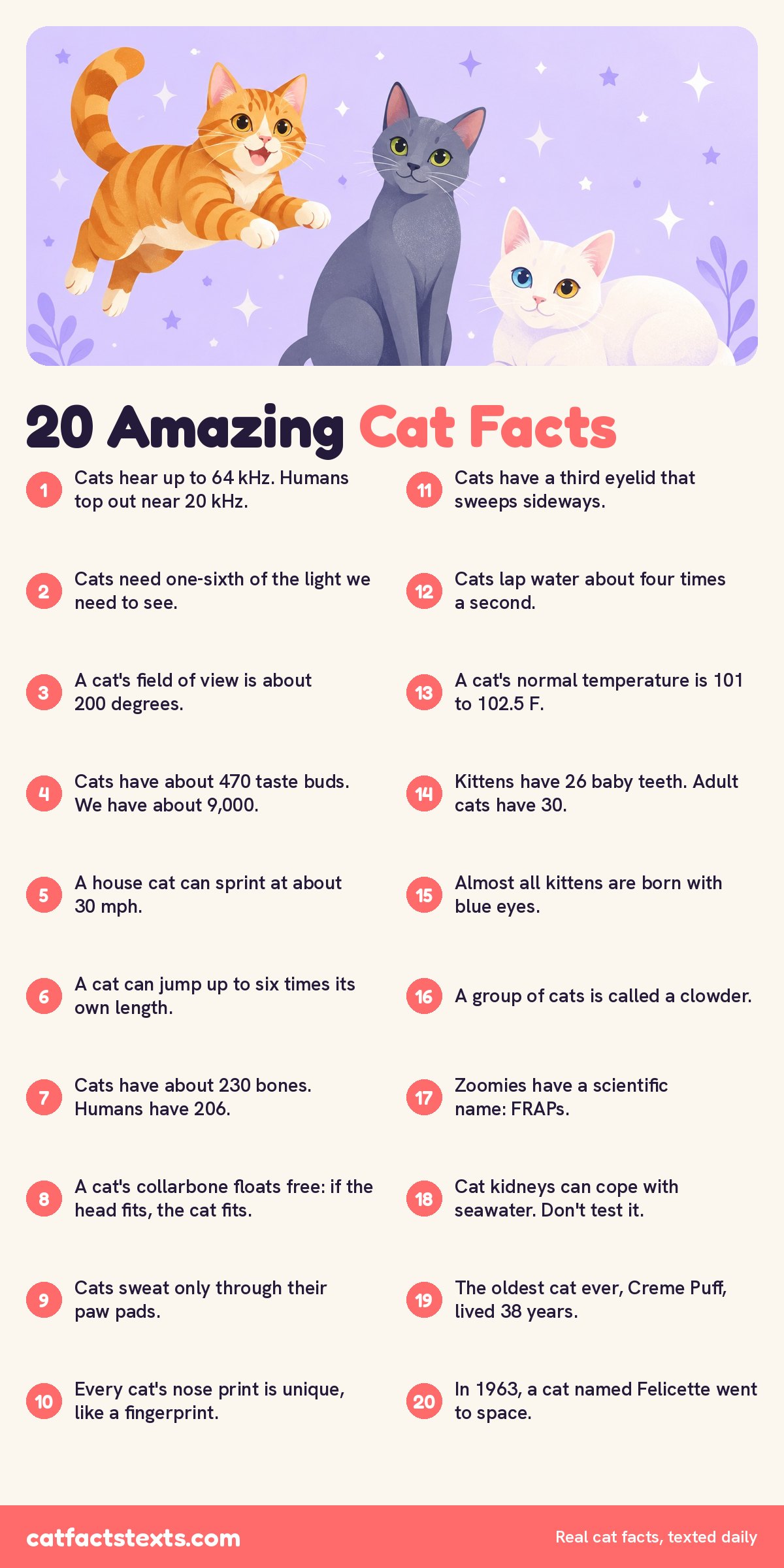 Infographic: 20 amazing cat facts, from hearing up to 64 kHz and seeing in one-sixth of the light humans need to Felicette, the cat who went to space