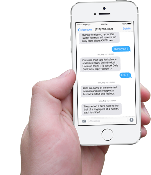 Hand holding iPhone with scrolling Cat Facts text messages